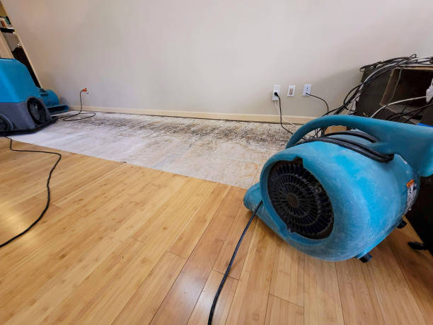 Professional Structural Drying technician working in Sprague, WV